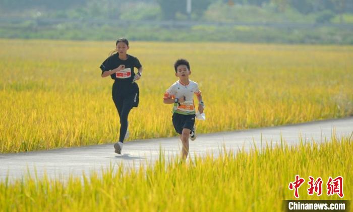 星空体育官网：两万余选手角逐宜昌马拉松