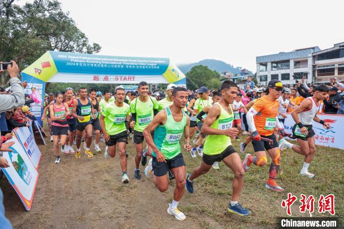 “喜洋洋”“乐融融”！十五运会和残特奥会吉祥物是这对中华白海豚